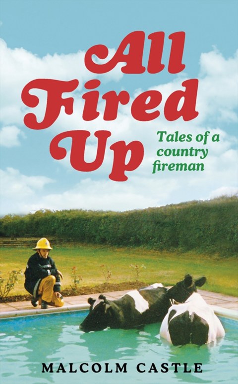 Cover image for book All Fired Up