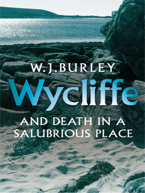 Cover image for book Wycliffe and Death in a Salubrious Place
