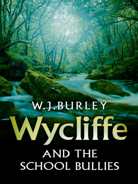 Cover image for book Wycliffe and the School Bullies
