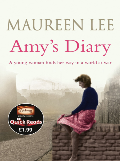 Cover image for book Amy's Diary