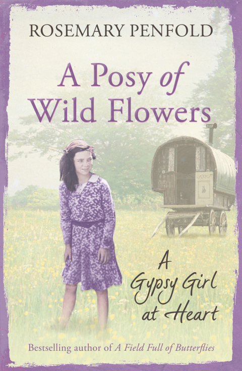 Cover image for book A Posy of Wild Flowers