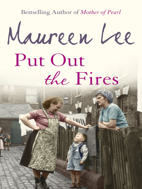 Cover image for book Put Out the Fires