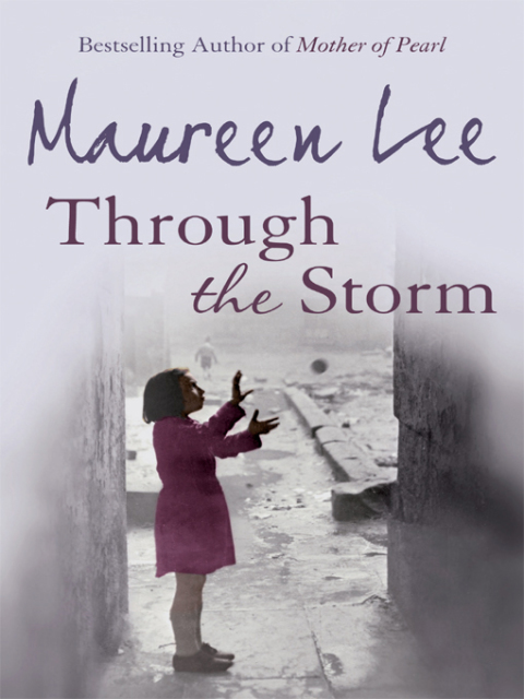 Cover image for book Through The Storm