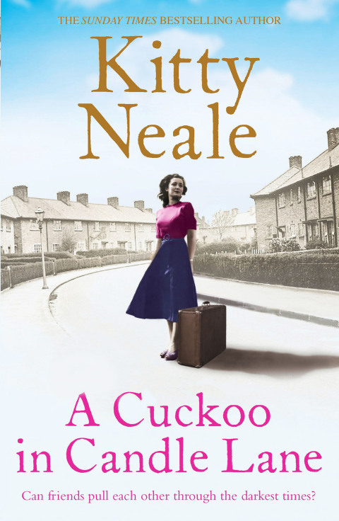 Cover image for book A Cuckoo in Candle Lane