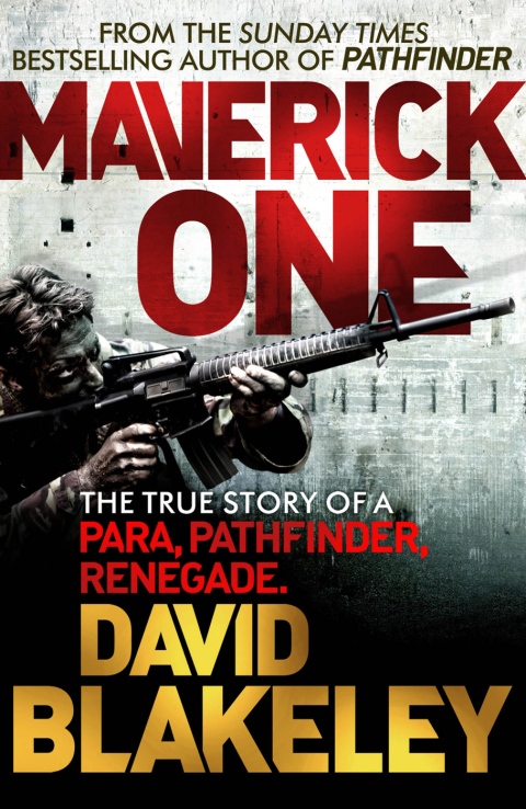 Cover image for book Maverick One