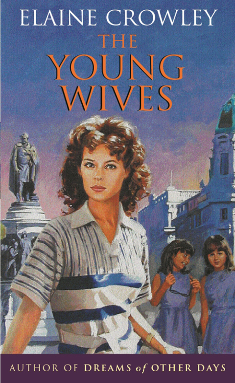 Cover image for book The Young Wives