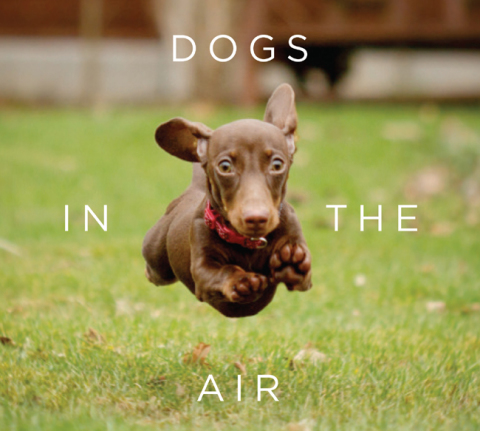 Cover image for book Dogs in the Air
