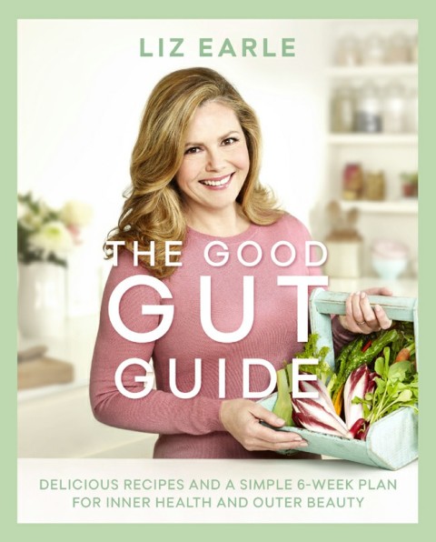 Cover image for book The Good Gut Guide