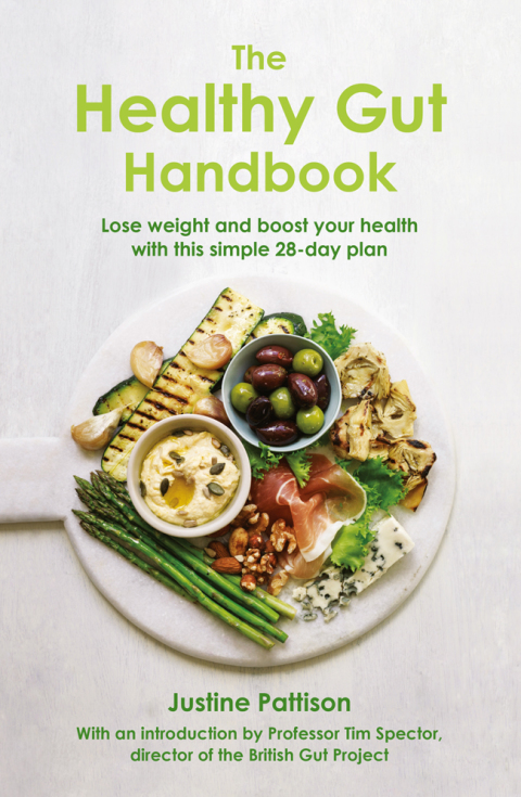 Cover image for book The Healthy Gut Handbook