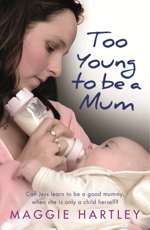 Cover image for book Too Young to be a Mum