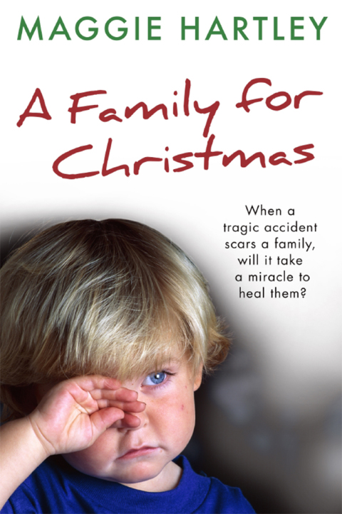 Cover image for book A Family For Christmas