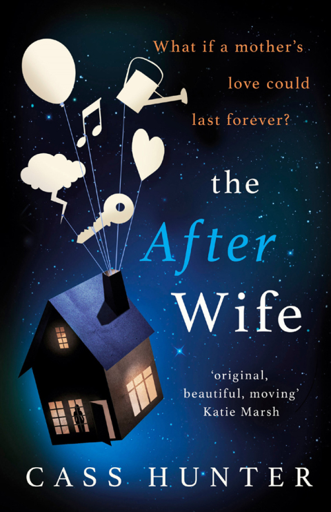 Cover image for book The After Wife