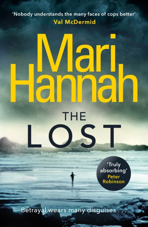 Cover image for book The Lost