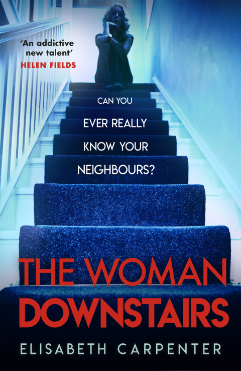 Cover image for book The Woman Downstairs