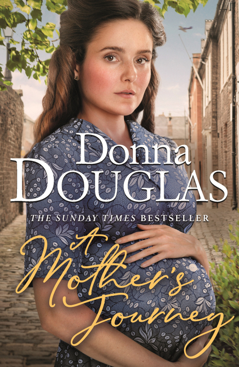 Cover image for book A Daughter's Hope