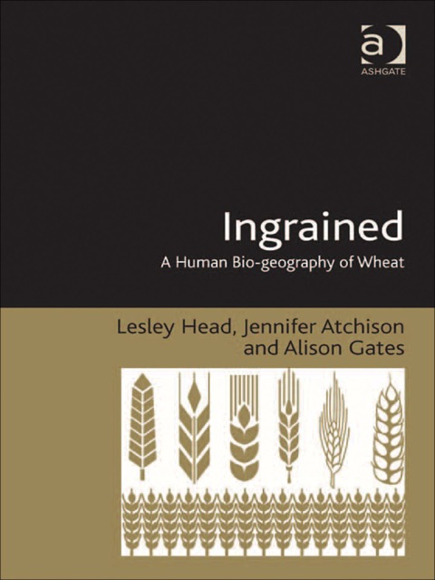 Cover image for book Ingrained: A Human Bio-geography of Wheat