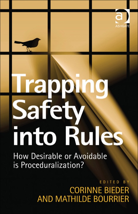 Cover image for book Trapping Safety into Rules