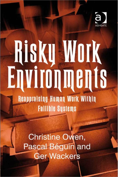 Cover image for book Risky Work Environments: Reappraising Human Work Within Fallible Systems