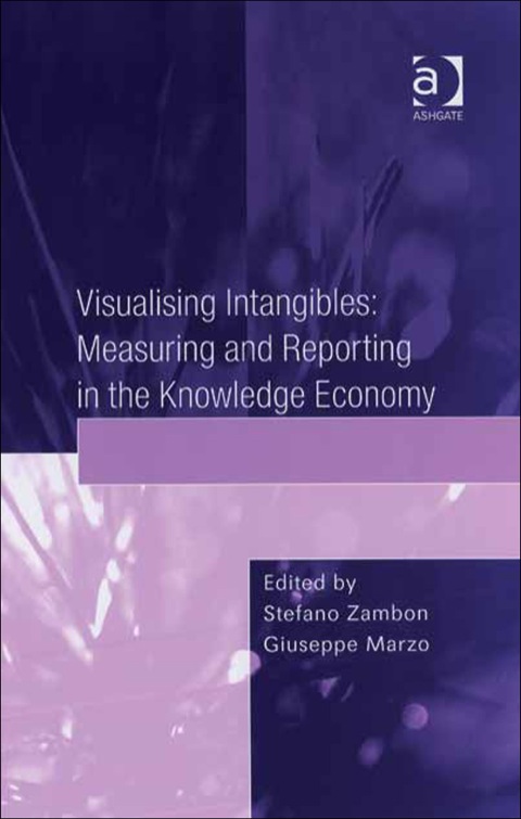 Cover image for book Visualising Intangibles: Measuring and Reporting in the Knowledge Economy