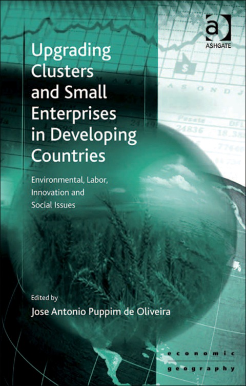 Cover image for book Upgrading Clusters and Small Enterprises in Developing Countries: Environmental, Labor, Innovation and Social Issues