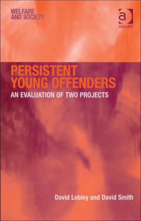 Cover image for book Persistent Young Offenders: An Evaluation of Two Projects