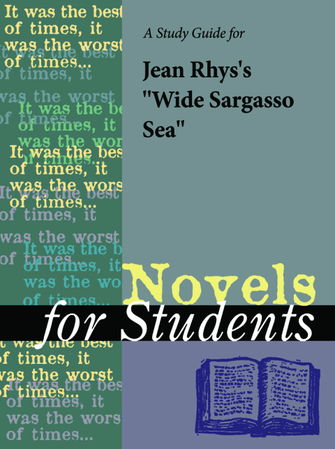 Cover image for book A Study Guide for Jean Rhys's Wide Sargasso Sea