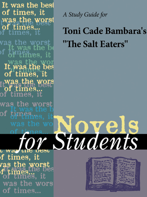 Cover image for book A Study Guide for Toni Cade Bambara's "The Salt Eaters"
