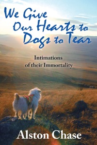 Cover image: We Give Our Hearts to Dogs to Tear 1st edition 9781412807791