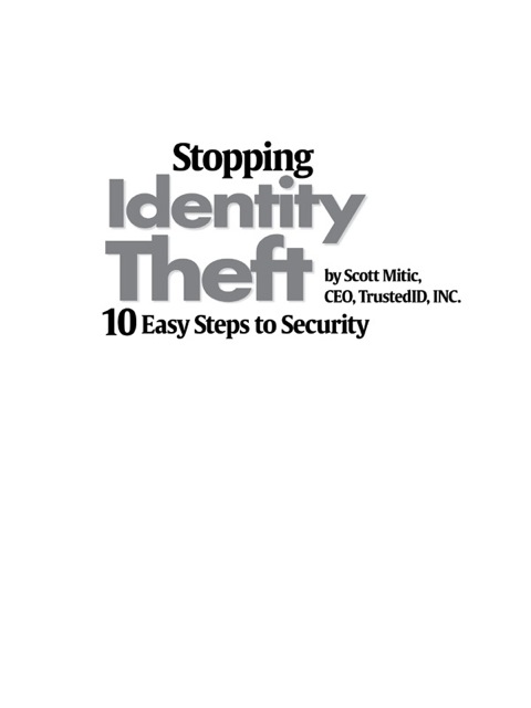 Cover image for book Stopping Identity Theft: 10 Easy Steps to Security