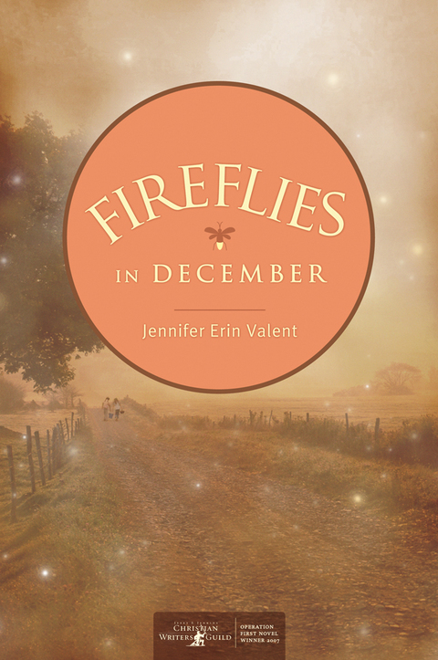 Cover image for book Fireflies in December