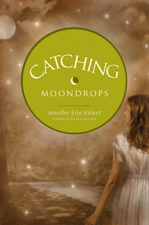 Cover image for book Catching Moondrops