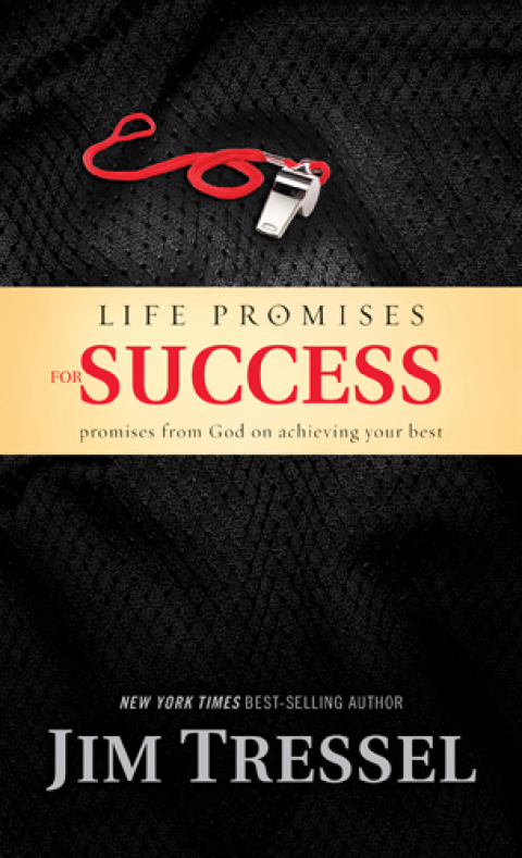 Cover image for book Life Promises for Success