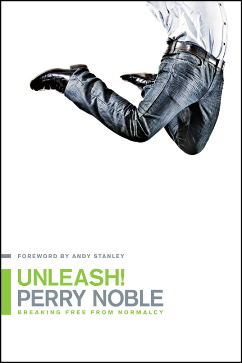 Cover image for book Unleash!