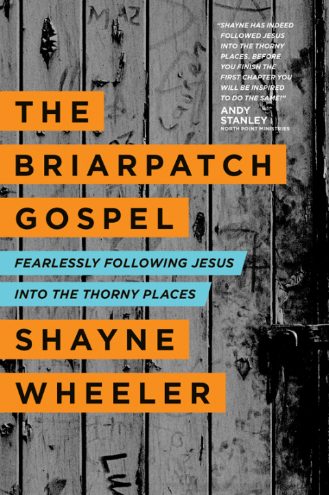Cover image for book The Briarpatch Gospel