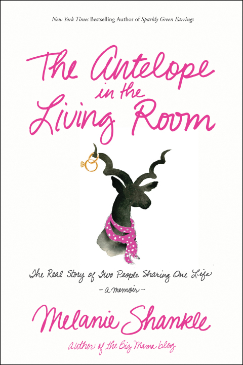 Cover image for book The Antelope in the Living Room