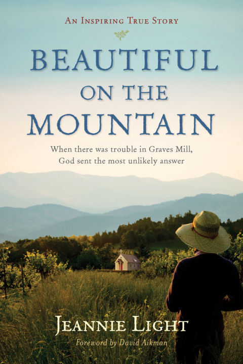 Cover image for book Beautiful on the Mountain
