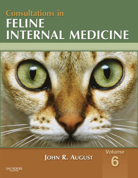 Cover image for book Consultations in Feline Internal Medicine, Volume 6