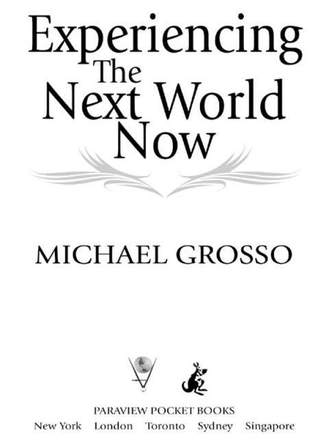 Cover image for book Experiencing the Next World Now