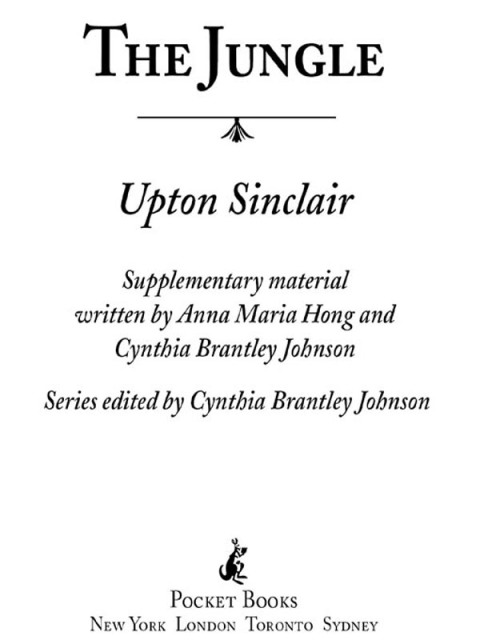 Cover image for book The Jungle