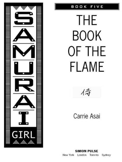Cover image for book The Book of the Flame