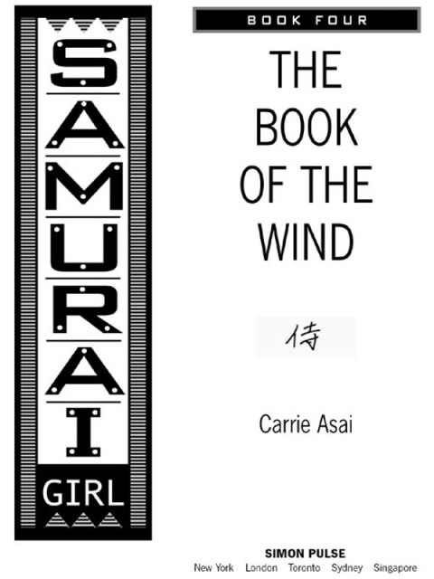 Cover image for book The Book of the Wind