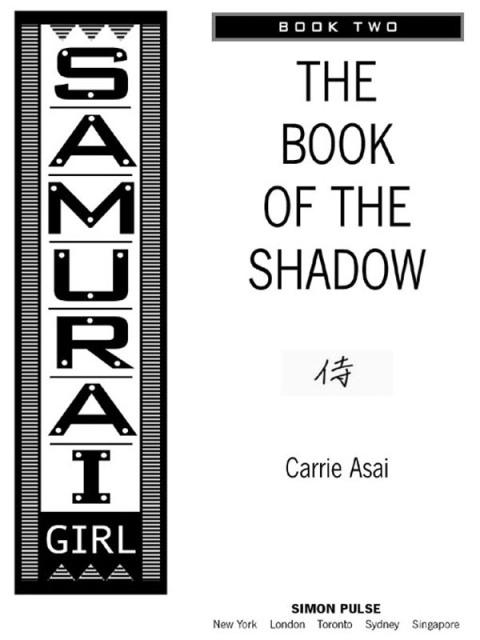 Cover image for book The Book of the Shadow