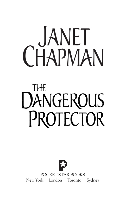 Cover image for book The Dangerous Protector