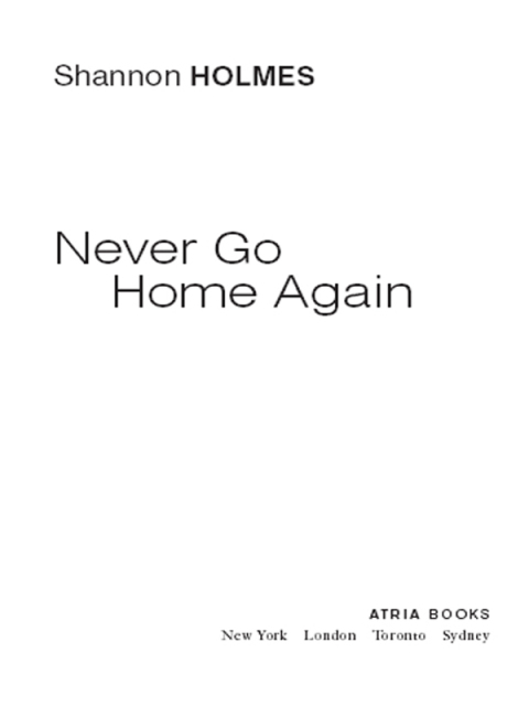 Cover image for book Never Go Home Again