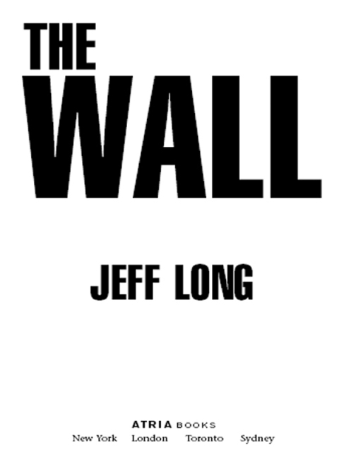 Cover image for book The Wall