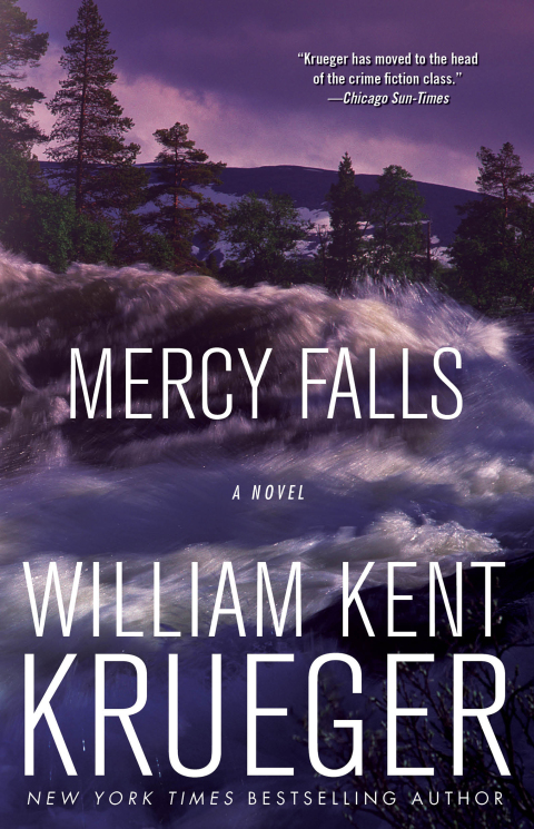 Cover image for book Mercy Falls