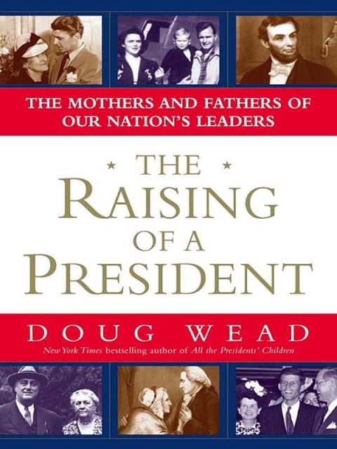 Cover image for book The Raising of a President