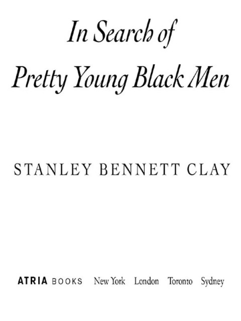 Cover image for book In Search of Pretty Young Black Men