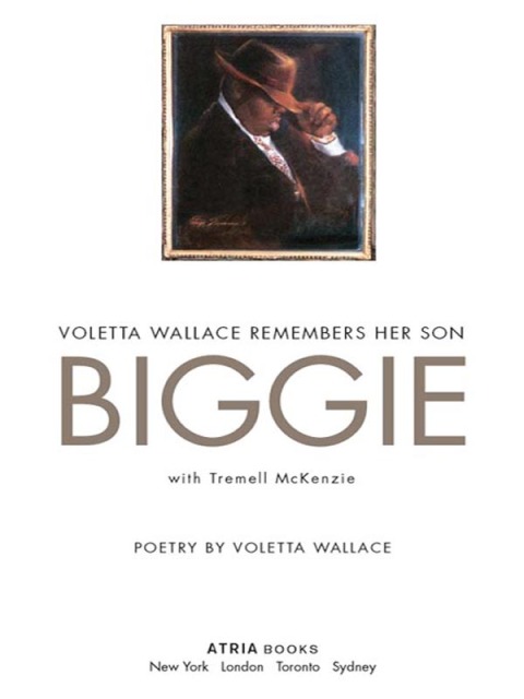 Cover image for book Biggie