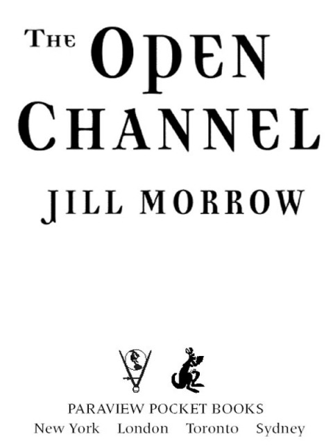 Cover image for book The Open Channel